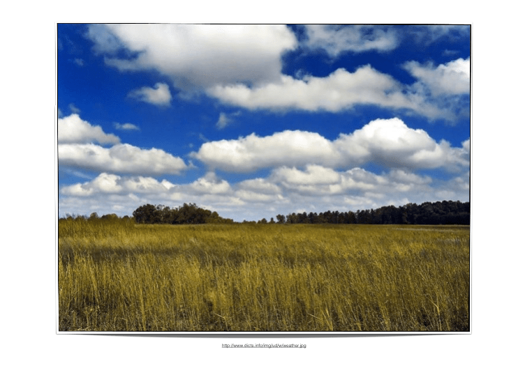 Screen Shot 2016-03-05 at 2.46.40 PM