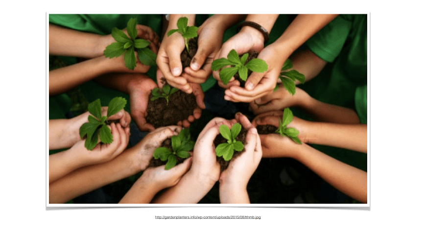 Screen Shot 2016-03-05 at 2.48.07 PM