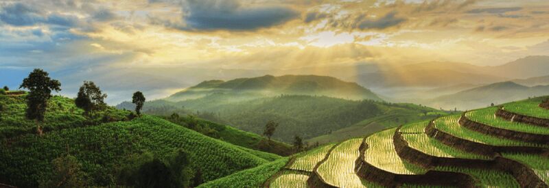 Designing the Conditions for&nbsp;Growth